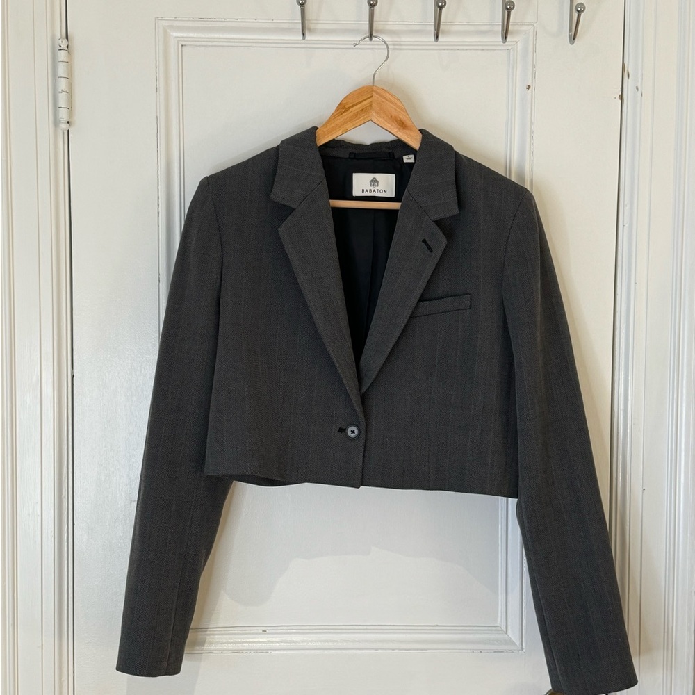 Babaton cropped grey blazer
